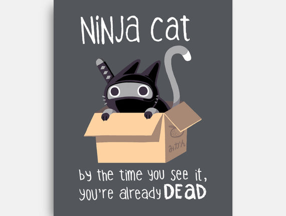 Ninja Cat