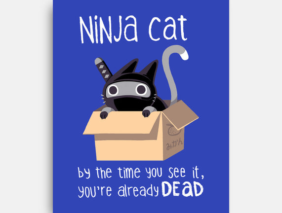 Ninja Cat