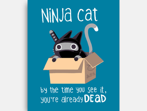 Ninja Cat
