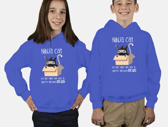 Ninja Cat
