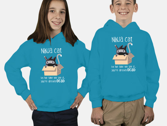 Ninja Cat