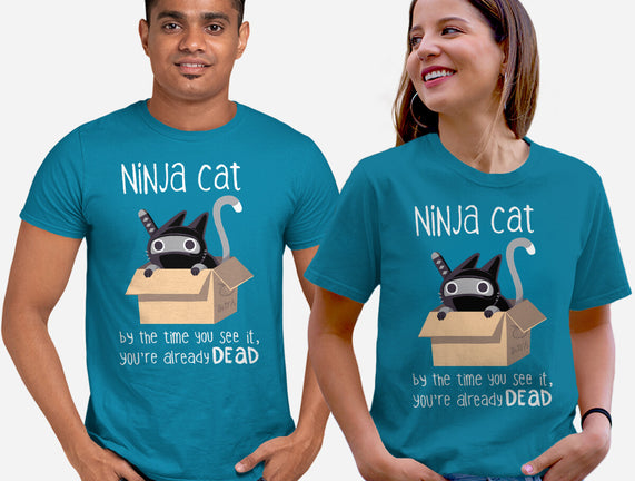 Ninja Cat