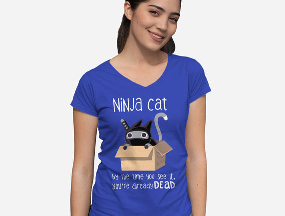 Ninja Cat