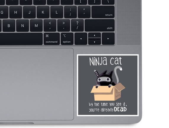Ninja Cat