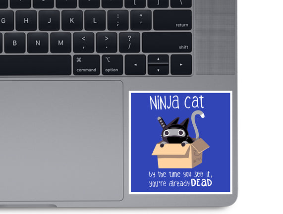 Ninja Cat