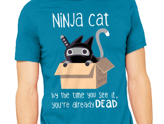 Ninja Cat