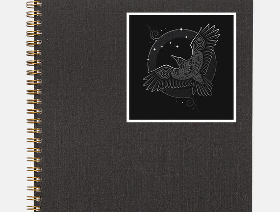 Northern Raven