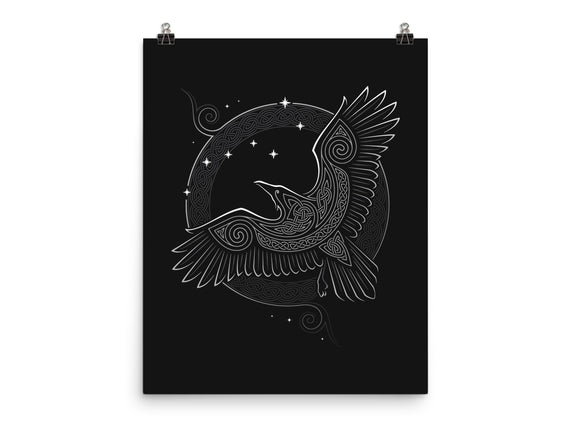 Northern Raven
