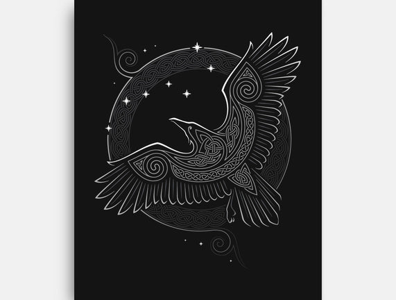 Northern Raven