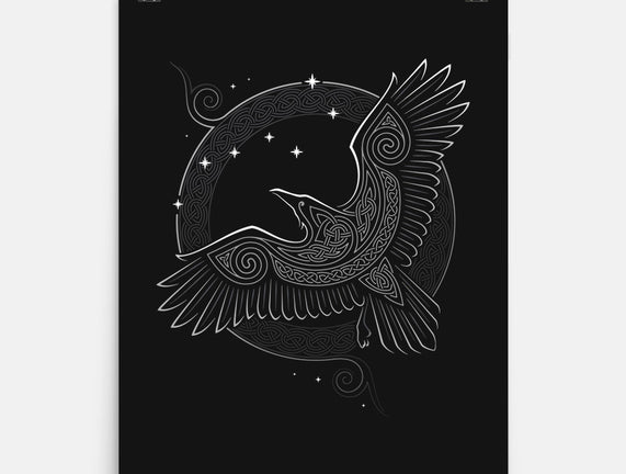 Northern Raven