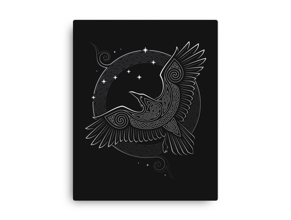 Northern Raven