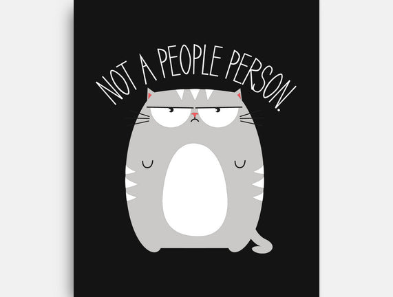 Not A People Person