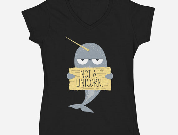 Not A Unicorn
