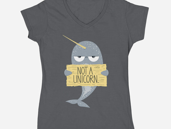 Not A Unicorn