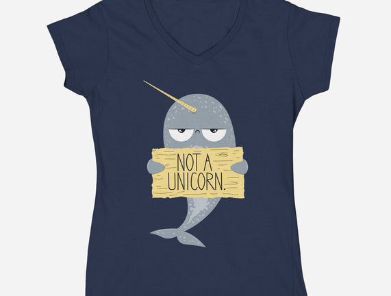 Not A Unicorn