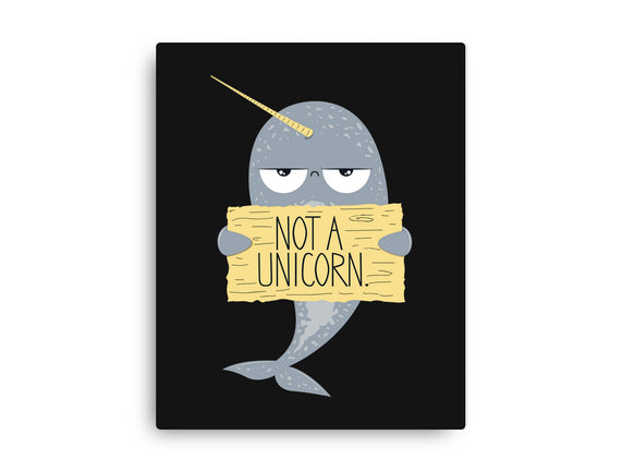 Not A Unicorn