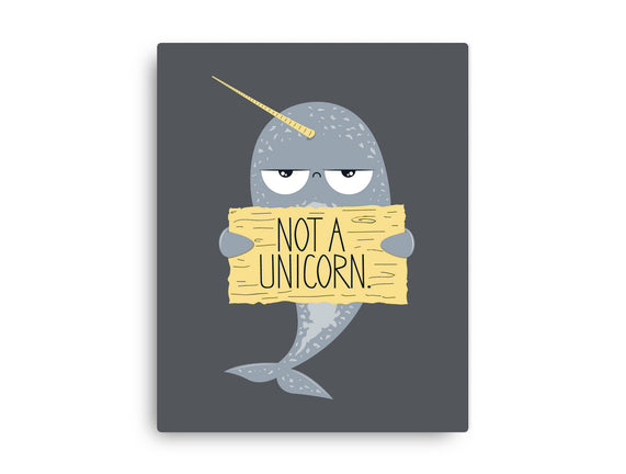 Not A Unicorn