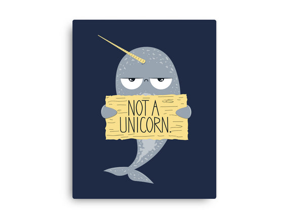 Not A Unicorn