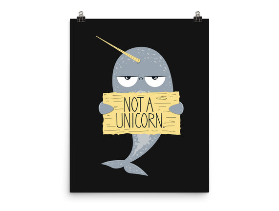 Not A Unicorn