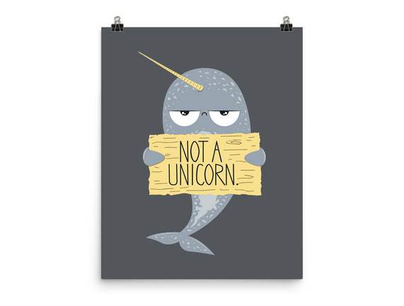 Not A Unicorn