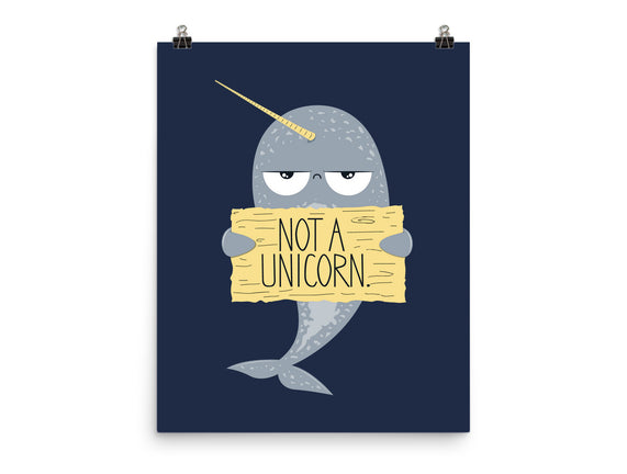 Not A Unicorn
