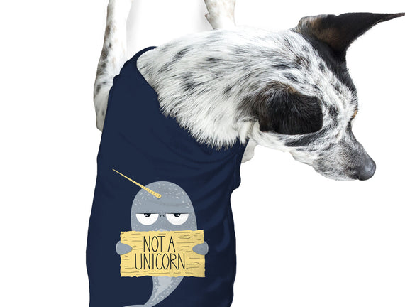 Not A Unicorn