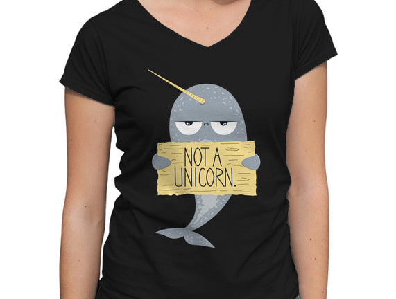 Not A Unicorn