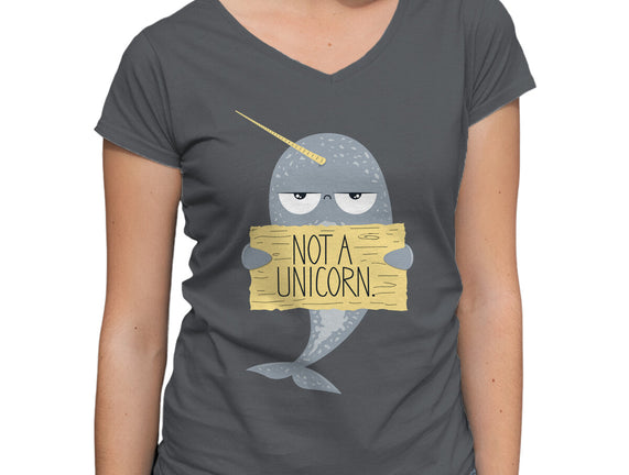 Not A Unicorn