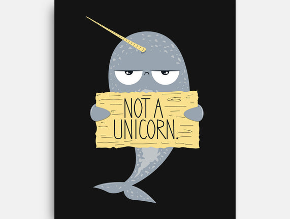 Not A Unicorn