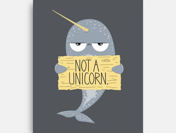Not A Unicorn