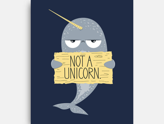 Not A Unicorn