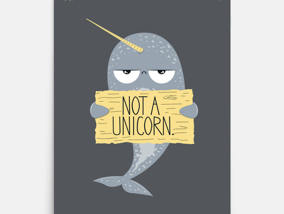 Not A Unicorn