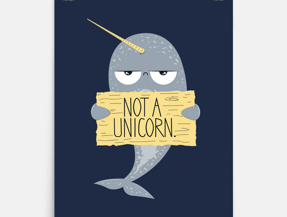 Not A Unicorn