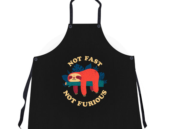 Not Fast, Not Furious