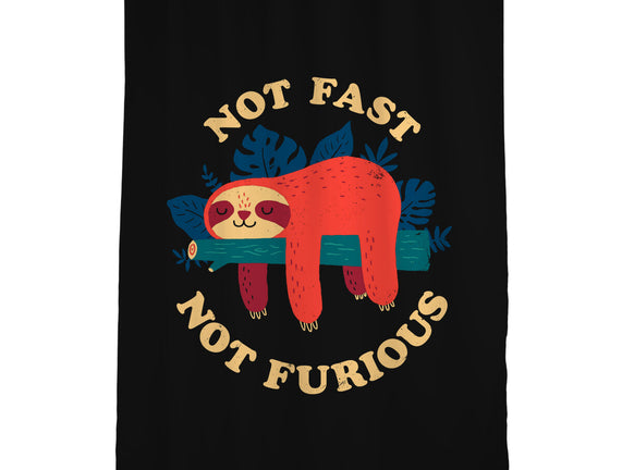 Not Fast, Not Furious