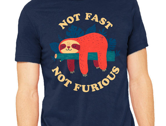 Not Fast, Not Furious