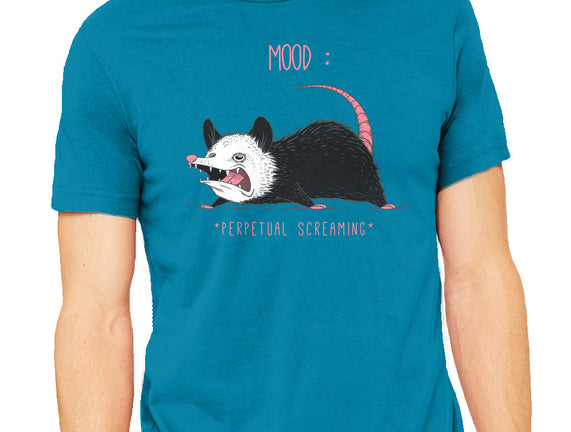 Mood Possum