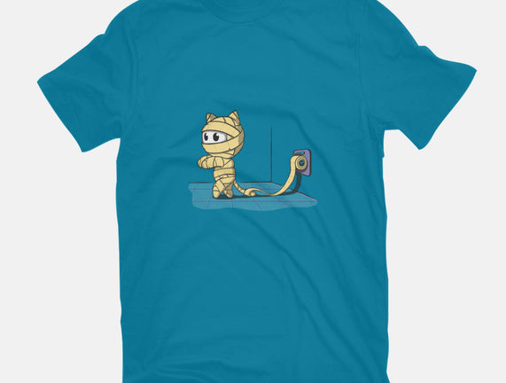 Mummy Cat
