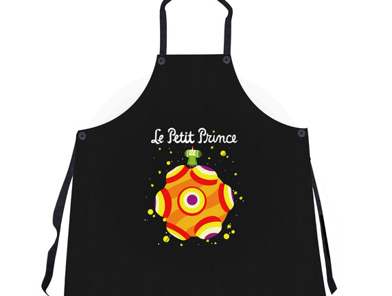 Le Petit Prince Cosmique