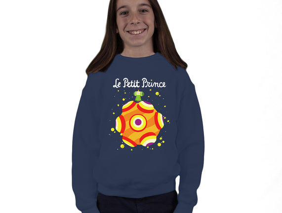 Le Petit Prince Cosmique
