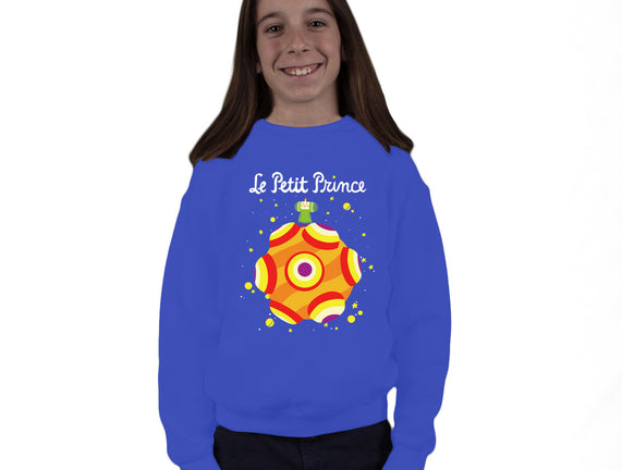 Le Petit Prince Cosmique
