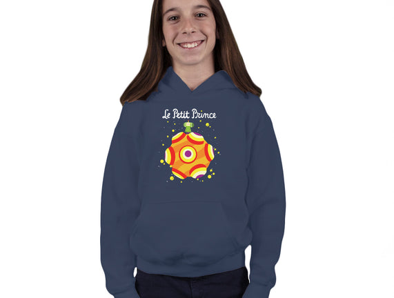 Le Petit Prince Cosmique