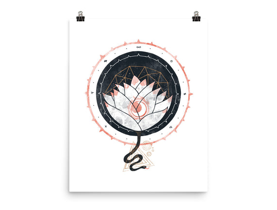 Lotus