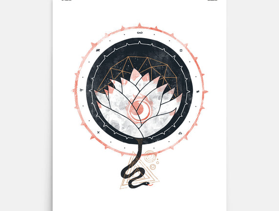 Lotus