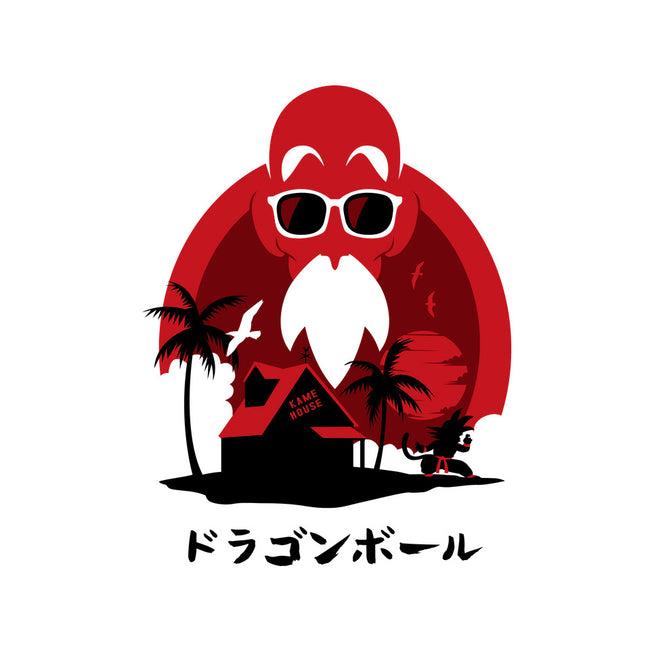 Kame Island-none glossy sticker-albertocubatas