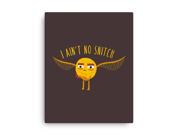 I Ain't No