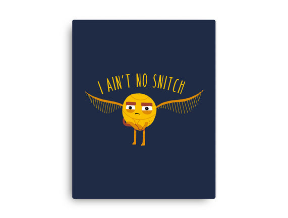 I Ain't No