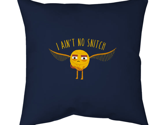I Ain't No
