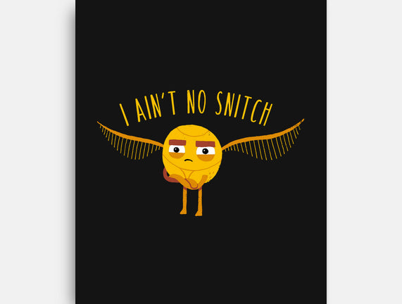 I Ain't No