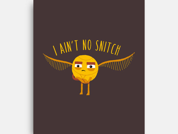 I Ain't No